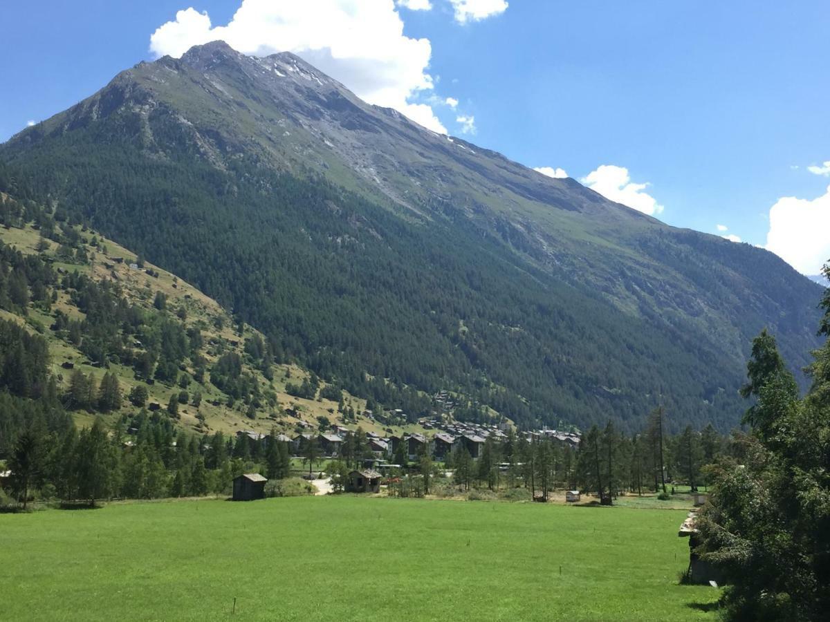 Aparthotel Monte Rosa D 412 Täsch Esterno foto