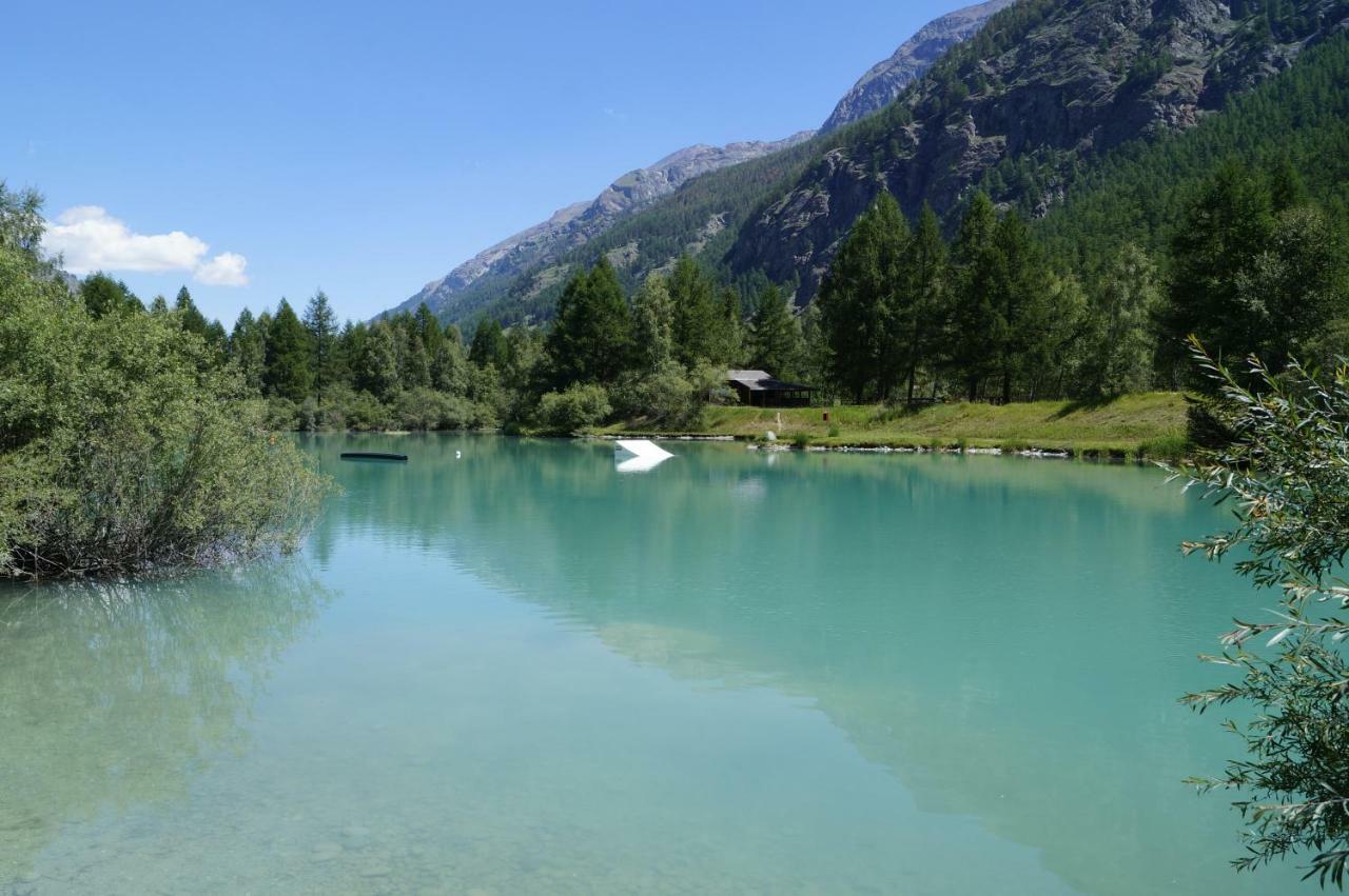 Aparthotel Monte Rosa D 412 Täsch Esterno foto